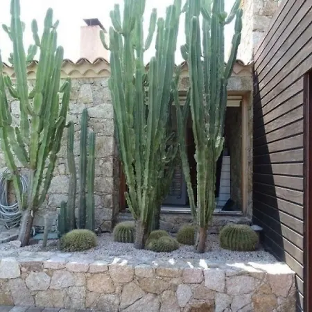 House Cala Stella Lumio (Corsica)